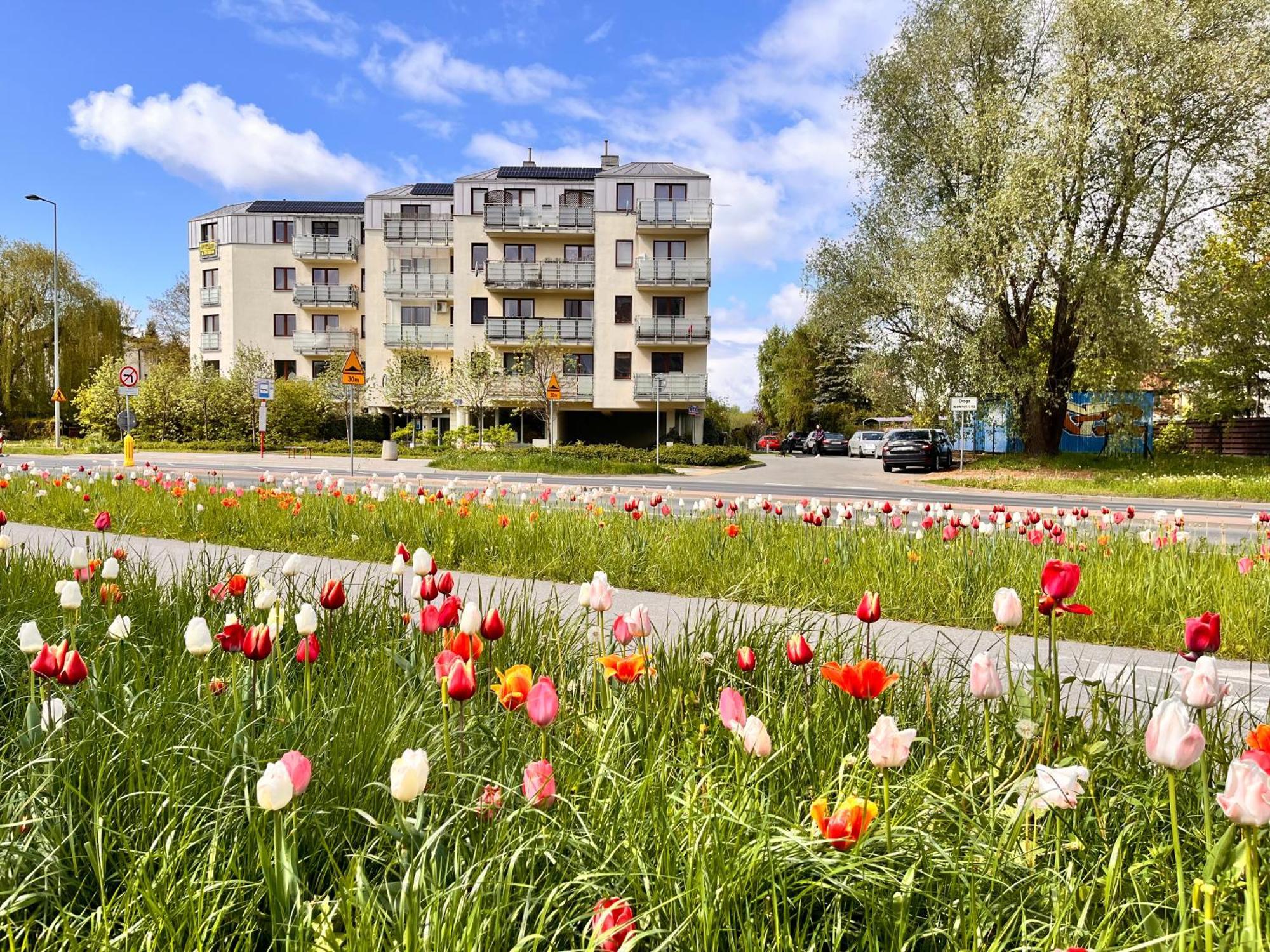 Apartament Roentgena 16 Przy Centrum Onkologii I Klinice Novum Варшава Екстер'єр фото